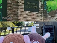 -灌篮高手动画打卡地