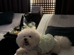 -水墨澜渟足道·SPA·传统(四望亭东关街店)