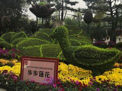 -莲湖公园