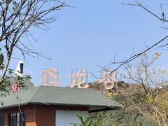 -世界恐龙谷景区