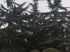 -陕西民俗大观园