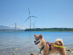 -怀来官厅水库