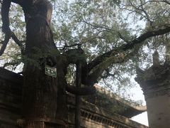 -魏家凉皮(博水商务大厦店)