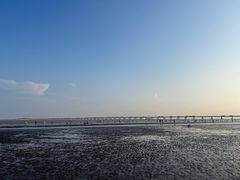 -南汇新城海滩