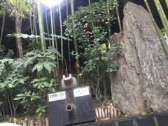 -西安国际创新人才交流中心•药浴温泉