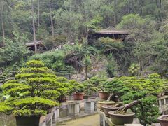 -南山植物园