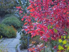 -云峰山自然风景区