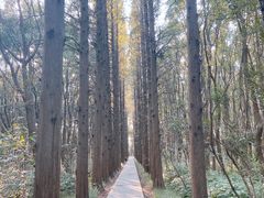 -同里国家湿地公园
