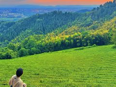 -敬亭山风景名胜区