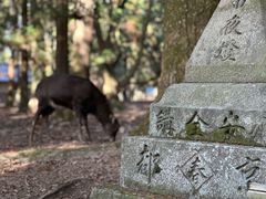 -奈良公园