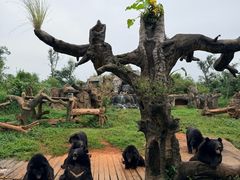-海南热带野生动植物园
