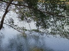 -松山湖风景区松湖烟雨