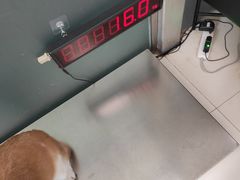 -申普宠物医院·心脏介入·心血管微创(总院)