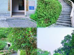-广州市白云山风景名胜区