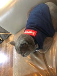 -青木造型HAIR·あおき髪を刈る潮人店