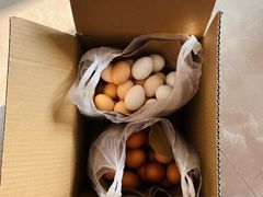-何庄子阿米玛玛农产品批发市场