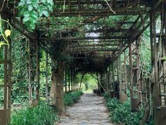 -中国科学院西双版纳热带植物园