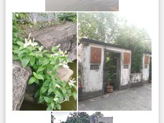 -广州神农草堂中医药博物馆