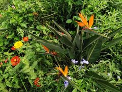 -南通洲际绿博园