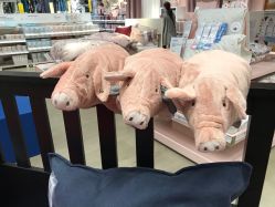 -华卫思理轻奢造型