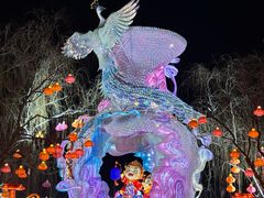 -淄博花灯齐彩城