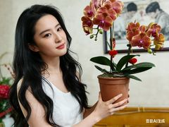 -双季花艺园艺市场(浦东店)