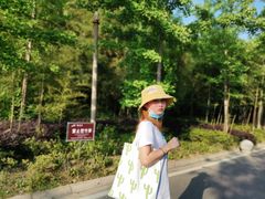 -黄陂区野村谷景区