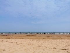 -日照海滨国家森林公园