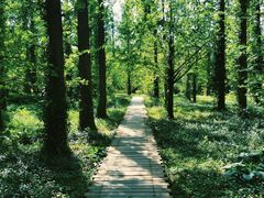 -国家植物园南园