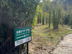 -武汉姚家山旅游景区