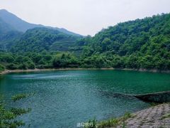 -龙坞茶村