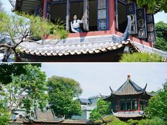 -碧江金楼