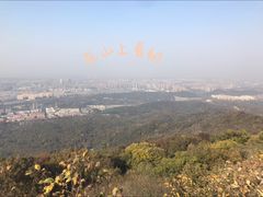 -紫金山山顶公园