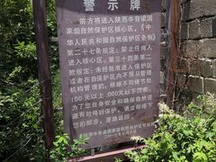 -牛背梁国家森林公园