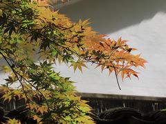 -灵栖洞天