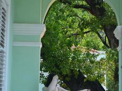 -龙环葡韵住宅式博物馆