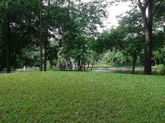 -晓港公园