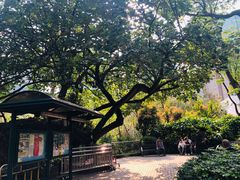 -九龙公园