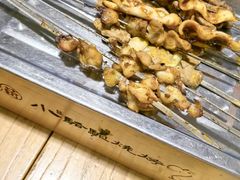 -福苗小骆驼烧烤(莲湖路店)