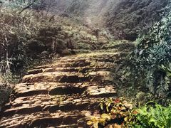 -中国茶叶博物馆(双峰馆区)
