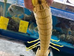 -粤盛海鲜平价店(洛溪食街店)