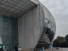 -广西体育中心-游泳馆