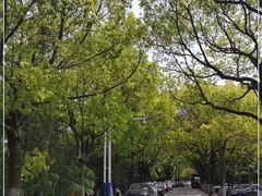 -昆山城市生态森林公园