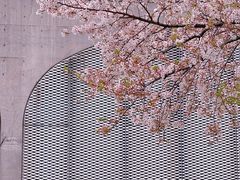 -龙美术馆(西岸馆)