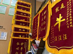 -半岛宠物医院24小时·内窥镜·牙科·碎石中心(府城大道店)