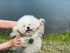 -健身专家Wellness Experts