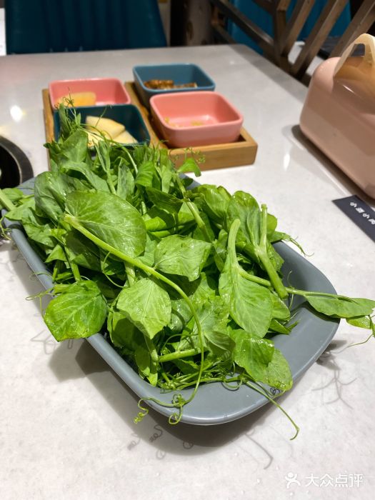 小街猪手(团结湖店)豌豆尖图片