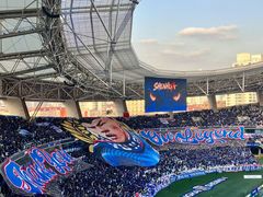 -八万人体育馆-外场足球场