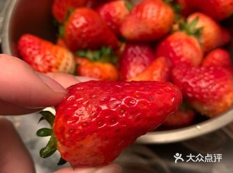 最近大草莓其实还涨价了