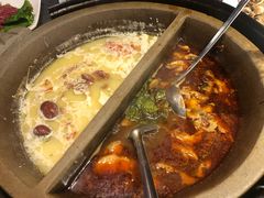 -魔石泡泡鱼(当涂店)